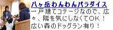 �����x�����p���_�C�XHP��