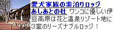 �������Ƃ̓mHP��