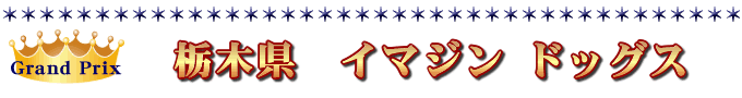 �O�����v���F�C�}�W���E�h�b�O�X
