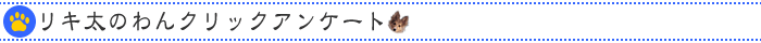 ���N���b�N�A���P�[�g