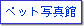 �y�b�g�ʐ^��