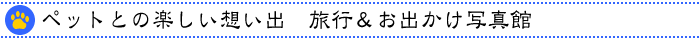 �y�b�g�Ƃ̊y�����z���o�@���s�����o�����ʐ^��