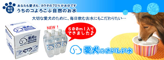 愛犬のおいしい水