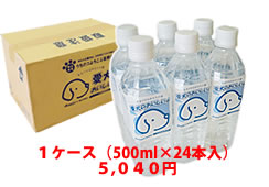 持ち運びに便利な500ml入りペットボトル