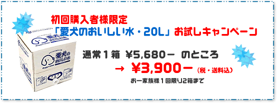 初回購入者限定！お試しキャンペーン！！